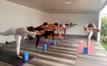 hatha-vinyasa-yoga-y-medicacion-certificacion